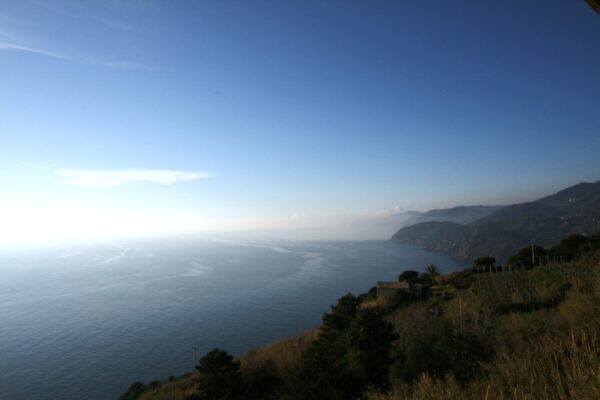 img_0082_22160887483_o